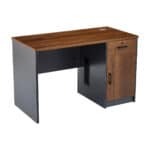 Modern Compact Wooden Desk with Drawer