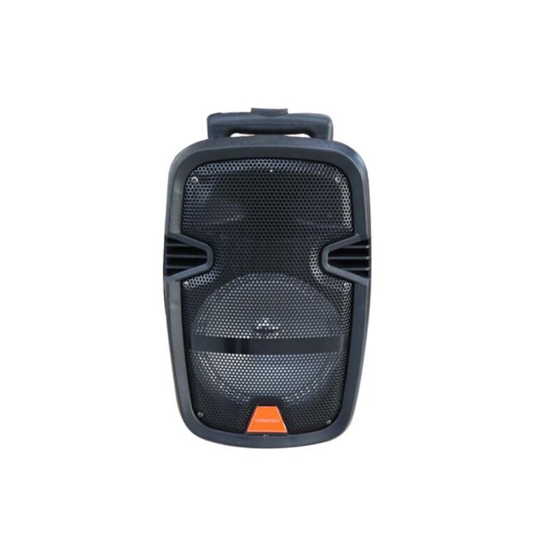 FINNTECK - 8" Portable Speaker- CH-7208