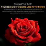 Sinotec 55" STL-55G2Q 4K QLED Google Smart TV with Eye Care - Image 2