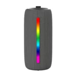 Skyworth BTS2 Portable Bluetooth Speaker 14W, BTS2