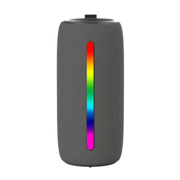 Skyworth BTS2 Portable Bluetooth Speaker 14W, BTS2
