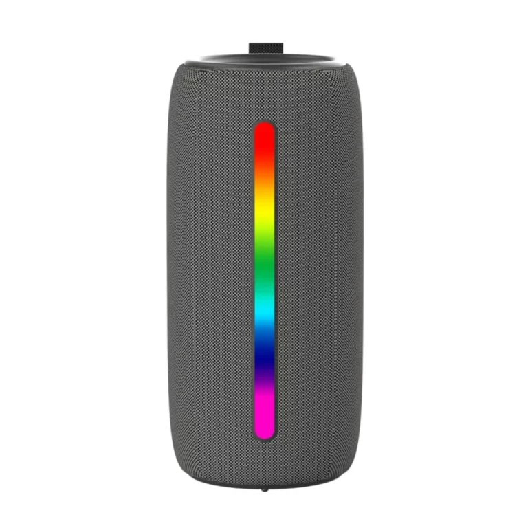 Skyworth BTS2 Portable Bluetooth Speaker 14W, BTS2