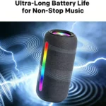 Skyworth BTS2 Portable Bluetooth Speaker 14W, BTS2
