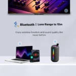 Skyworth BTS2 Portable Bluetooth Speaker 14W, BTS2
